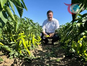 Başkan Ercan Özel’den Biber İşçilerine Sürpriz Ziyaret