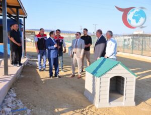 Bayburt’ta Sokak Hayvanları için Modern Barınaklar İnşa Ediliyor