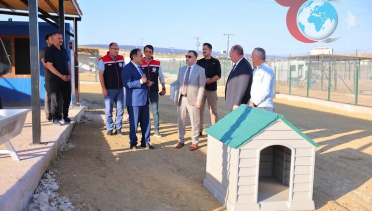 Bayburt’ta Sokak Hayvanları için Modern Barınaklar İnşa Ediliyor