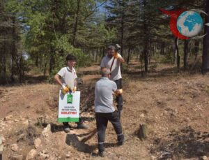 Bilecik Belediyesi’nden Atatürk Ormanı’nda Çevre Duyarlılığına Yönelik Önemli Adım
