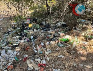 Bilecik’te Ormanlık Alanda Alkol Şişelerinden Oluşan Çöp Tepkisi