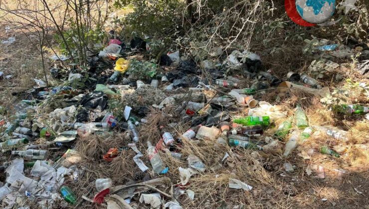 Bilecik’te Ormanlık Alanda Alkol Şişelerinden Oluşan Çöp Tepkisi