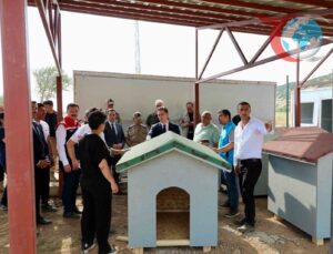 Bitlis’te Hayvan Barınağı ve Doğal Yaşam Alanı İnşaatı Son Sürat Devam Ediyor