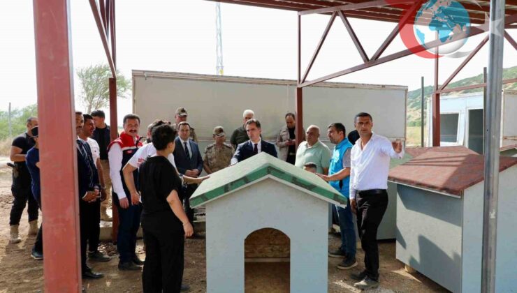 Bitlis’te Hayvan Barınağı ve Doğal Yaşam Alanı İnşaatı Son Sürat Devam Ediyor