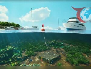 Deniz Çayırlarını Koruma Projesi: Mapa ve Şamandıra Sistemiyle Ekosistem Dengesi Kuruluyor