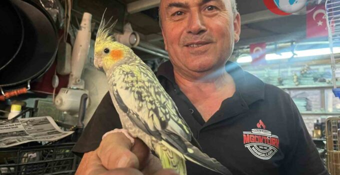 Doğanın İçinde Bir Usta: Mustafa Göktürk ve Kuşları