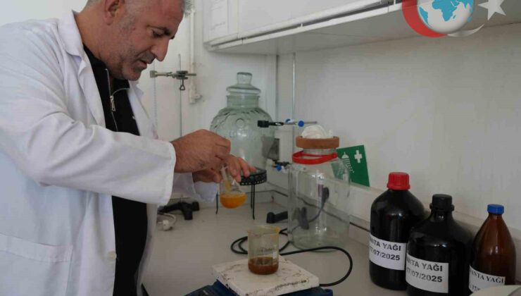 Doğanın Şifası: Iğdır Üniversitesi’nden Cilt Sağlığında Devrim Niteliğinde Ürün