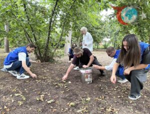 Düzce’de Gönüllü Gençler Fındık Hasadında