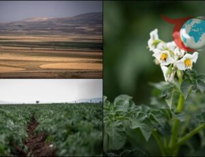 Erzurum’da Tarım Devrimi: Lisanslı Depoculuk Dönemi Başlıyor