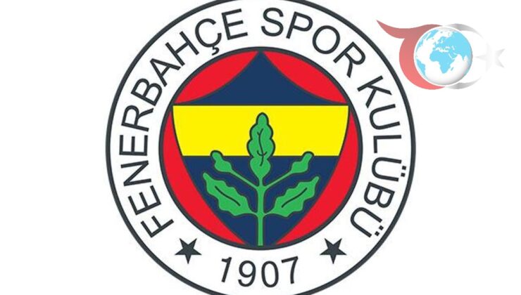 Fenerbahçe, Yüzme Kupasını Geri Aldı: Adaletin Zaferi