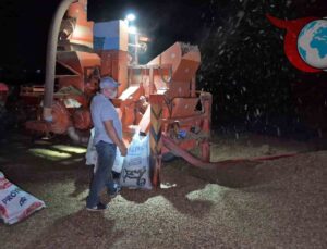 Fındık Hasadında Zorluklar ve Üreticilerin Mücadelesi