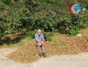 Fındık Üreticisinin Gözü Serbest Piyasa Fiyatlarında