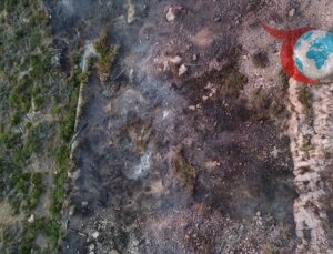 Fransa’da Orman Yangınları Kontrol Altına Alınamıyor: Ribaute’deki Alevler Tehlike Saçıyor