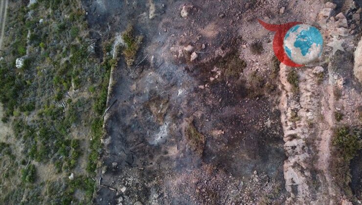 Fransa’da Orman Yangınları Kontrol Altına Alınamıyor: Ribaute’deki Alevler Tehlike Saçıyor