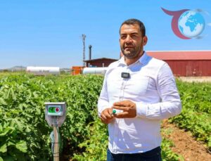 Gaziantep’te Ata Tohumları Kadın Çiftçilerle Yeniden Hayat Buluyor