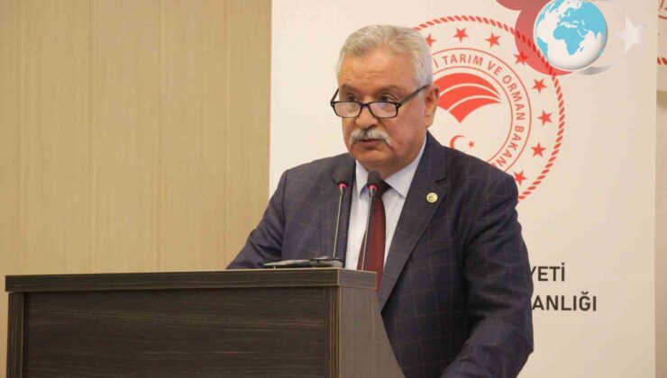 İncir Ağaçları da Kanunla Korunmalı: Aydın’dan Önemli Çıkış