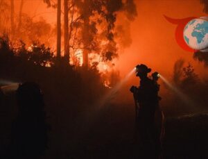 İspanya ve Portekiz’de Devam Eden Yangınlar: Mücadele Sürüyor