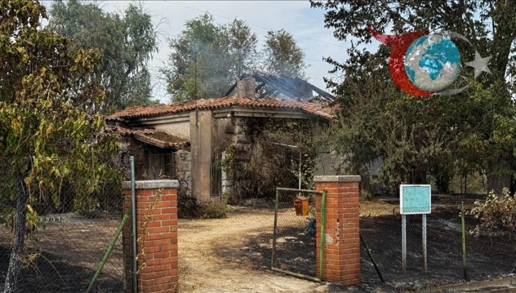 İspanya ve Portekiz’de Orman Yangınları Kontrol Altına Alınmaya Çalışılıyor