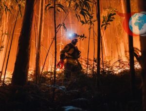 İspanya ve Portekiz’de Orman Yangınlarıyla Mücadele Sürüyor