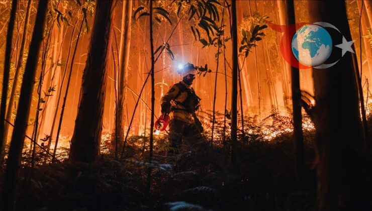 İspanya ve Portekiz’de Orman Yangınlarıyla Mücadele Sürüyor