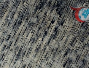 İspanya ve Portekiz’de Yoğun Orman Yangınları: Binlerce Hektar Alan Kül Oldu