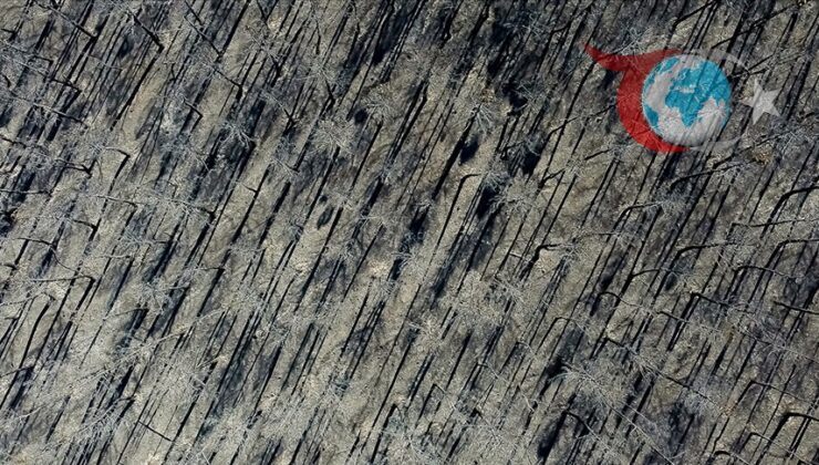 İspanya ve Portekiz’de Yoğun Orman Yangınları: Binlerce Hektar Alan Kül Oldu