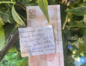 İznik’te İnsanlık Dersi: Şeftali Bahçesinde Anlamlı Not