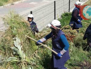 Kavurucu Sıcaklara Rağmen Tavşanlı’nın Emektar Kadın İşçileri