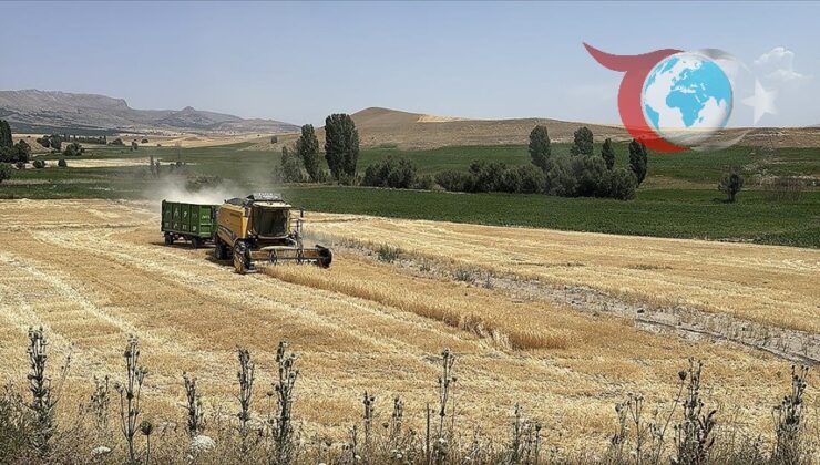 Kayseri’de Tarımda Büyük Atılım: Ekili Alanlar ve Çiftçi Sayısı Arttı