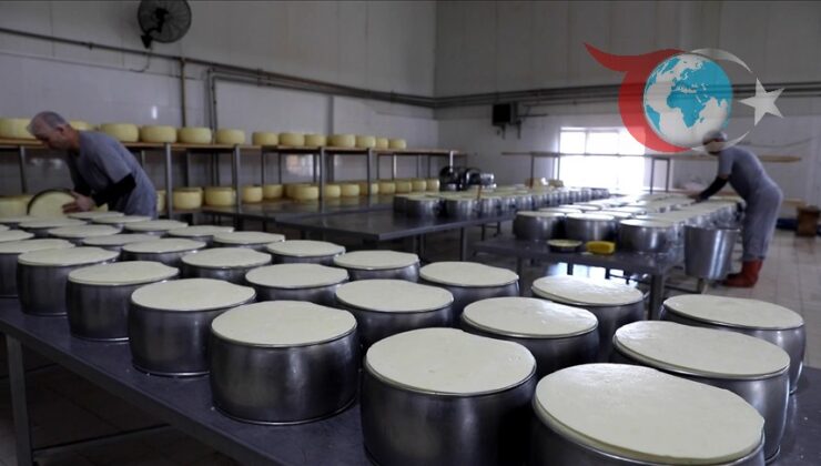 Kırklareli’nde Süt Üretimi ve İhracatı İvme Kazanıyor