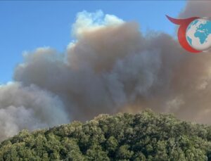 Kocaeli, Afyonkarahisar ve Diyarbakır’daki Yangınlar Kontrol Altına Alındı