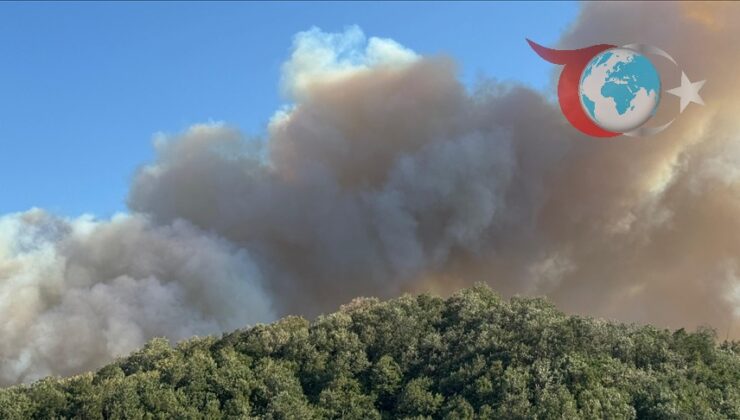 Kocaeli, Afyonkarahisar ve Diyarbakır’daki Yangınlar Kontrol Altına Alındı