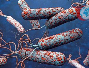 Kolera Salgını Dünya Genelinde Tehlikeli Bir Yükseliş Gösteriyor