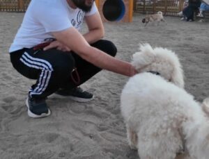 Köpek Eğitim Parkuru Kayseri’de Yoğun İlgi Görüyor