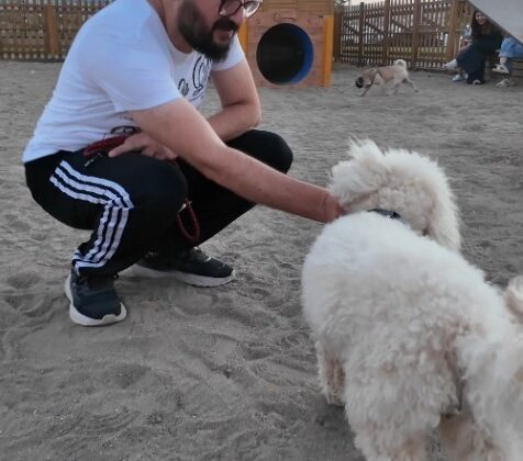 Köpek Eğitim Parkuru Kayseri’de Yoğun İlgi Görüyor