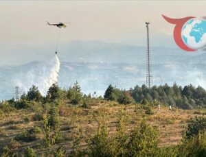 Köyde Orman Yangını: Ekiplerin Hızlı Müdahalesiyle Tehlike Kontrol Altına Alındı