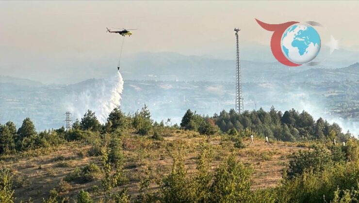 Köyde Orman Yangını: Ekiplerin Hızlı Müdahalesiyle Tehlike Kontrol Altına Alındı