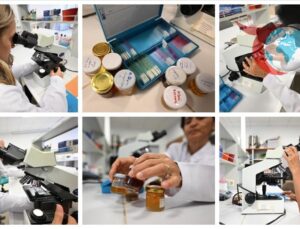 Küresel Isınmanın Kestane Balına Etkisi: Tehlike Çanları Çalıyor