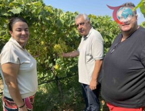 Manisa’da Çiftçi Çiftin Kalıntısız Üzüm Başarısı