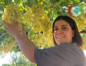 Manisa’da Örnek Muhtar: Hem Mahalleye Hizmet Hem Üzüm Bağında Üretim