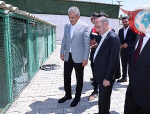 Mardin’de Sahipsiz Hayvanlar İçin Modern Yaşam Alanı