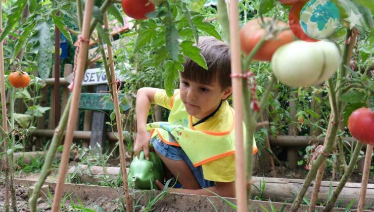 Minik Ellerden Büyük İşler: Çocuklar Doğayla Buluşuyor