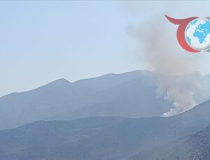 Muğla ve Adana’daki Orman Yangınlarına Karadan ve Havadan Yoğun Müdahale