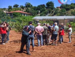 Muğla’da Sakız Ağacı Üretimi: Tarımsal Kalkınmanın Yeni Yolu