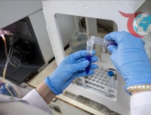 Okul Alışverişinde Güvenlik Önlemleri: Kırtasiye Ürünlerinde Dikkat Edilmesi Gereken Hususlar