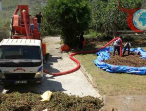 Ordu’da Fındık Hasadı: Patozcuların Zorlu Mesaisi ve Azalan Rekolte