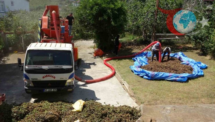 Ordu’da Fındık Hasadı: Patozcuların Zorlu Mesaisi ve Azalan Rekolte