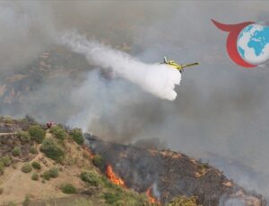 Orman Yangınları Cezayir’i Etkisi Altına Aldı: 16 Farklı Noktada Yangın Söndürme Çalışmaları Devam Ediyor