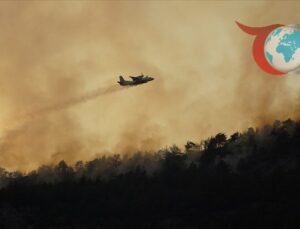 Orman Yangınlarıyla Mücadelede Yoğun Hafta: Sıcaklık, Nem ve Rüzgar Tehlikesi