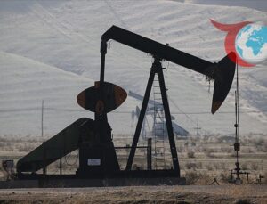 Petrol Piyasalarında Dönemsel Dalgalanmalar ve Gelecek Beklentileri